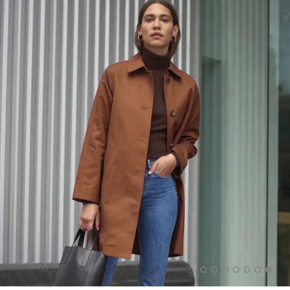 Everlane Brown Trench Coat